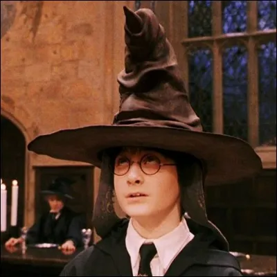 Que dit Harry Potter avant que le Choixpeau ne lui attribue une maison ?