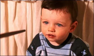 Qui a tué les parents de Harry Potter ?