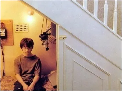 Qui tape des pieds dans les escaliers pour réveiller Harry Potter ?
