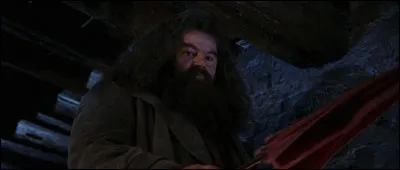 Rubeus Hagrid débarque dans la maison de Harry Potter avec une lettre et un gâteau d'anniversaire que Dudley Dursley va manger ! La queue de quel animal lui met Hagrid pour se venger ?