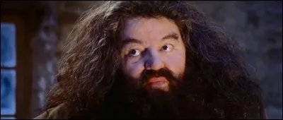 Que dit Hagrid à Harry dans la maison des Dursley ?