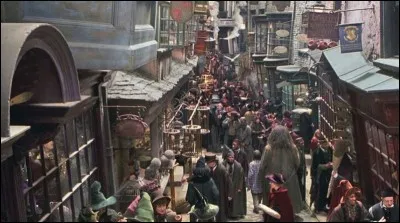 Pour cette occasion, quel cadeau Hagrid lui a-t-il offert pour son anniversaire ?