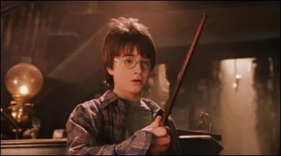 À qui a appartenu la baguette que Harry a choisie ?