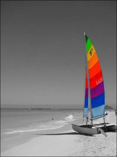 Qui chantait "Le vent nous portera" ?