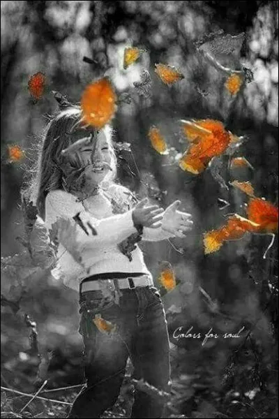 Si le vent tourne...