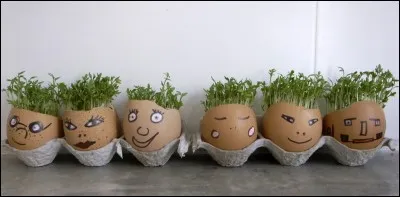 C'est là le moindre de vos défauts (quelle idée j'ai eue de vous tendre un miroir) mais avec ce crâne en peau de fesse vous risquez le coup de soleil. Que vous disent ces gens sans pitié ?