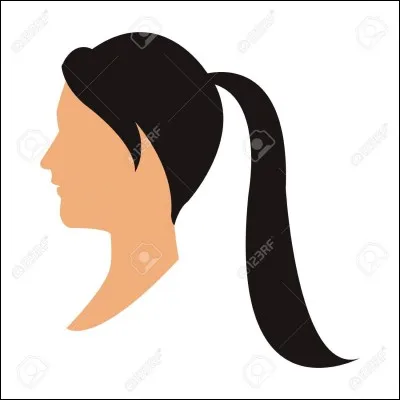 Mais si vraiment vous trouvez que j'exagère, vous pouvez faire demi-tour. Que feriez-vous alors ?