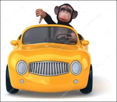 Yuval Noah Harari a écrit : "Sapiens, Une brève histoire de l'humanité".