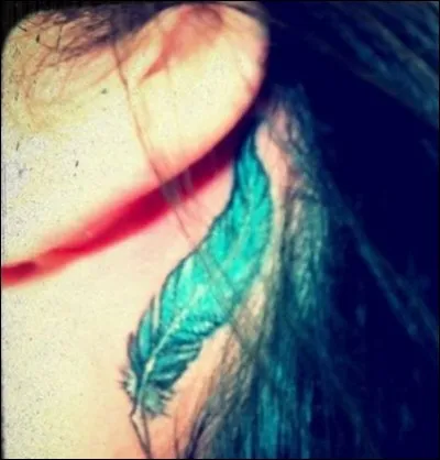 À qui est cette plume bleue ?