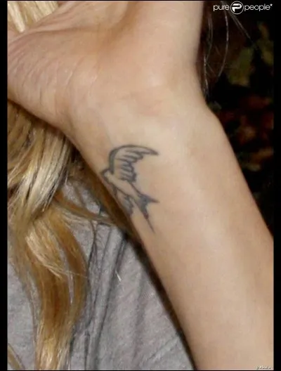 À qui est cet oiseau ?