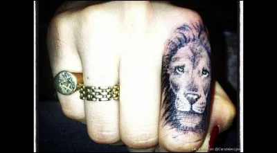 À qui sont ce lion et ces bagues tatoués ?