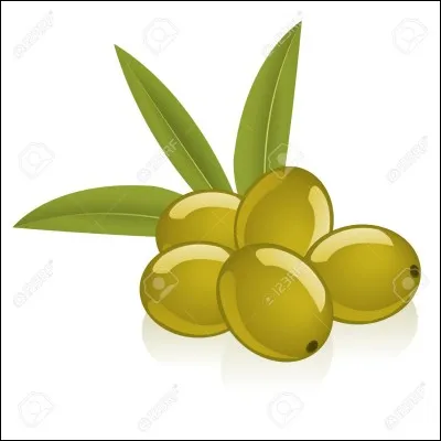 À quelle période récolte-t-on les olives ?