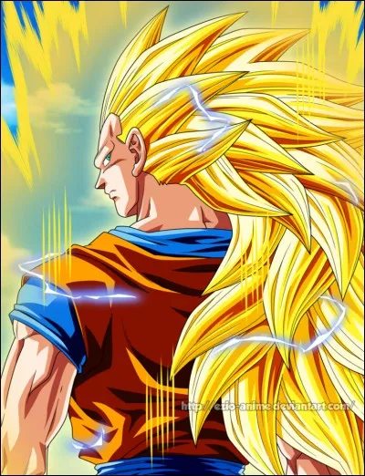 Quelle est la dernière transformation de Goku (DBZ) ?