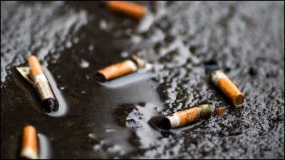 Combien de temps un mégot met-il pour se détériorer ?