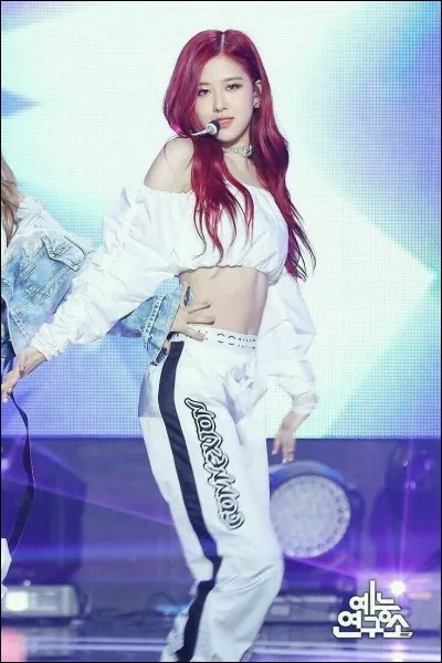 Quelles langues parle Rosé ?