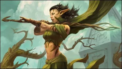 Quelle catégorie de personnage choisis-tu quand tu joues à un jeu de rôle médiéval-fantastique ?