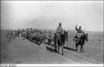 En Afrique du Nord, les Senoussi et des tribus berbères se soulèvent contre l'occupation coloniale de la région. Par quelles puissances sont-ils soutenus ?