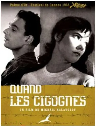 Quel est ce film ?
