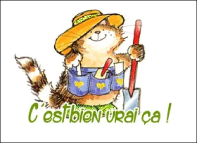 À quoi toutes les vérités ne sont-elles pas bonnes ?