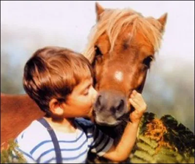 Quel célèbre poney de littérature, puis de télévision, a été créé par Cécile Aubry en 1961 ?