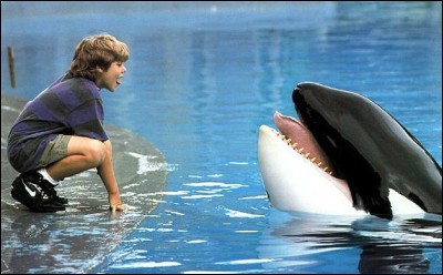 Comment s'appelle cette orque que le jeune Jesse doit sauver dans un film de 1994 ?