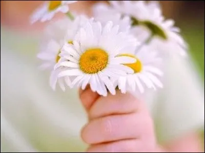 Et n'oubliez pas que le 13 novembre est la journée...