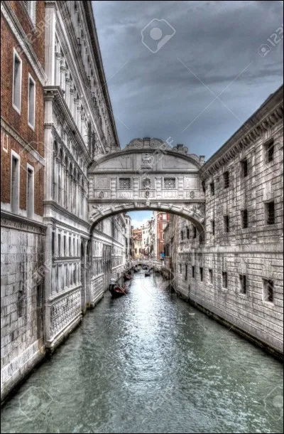 Venise.
L'affaissement des sols et la montée du niveau de la mer entraînent l'inondation régulière de Venise. Ce phénomène s'appelle...