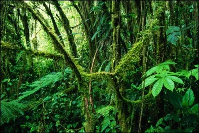 Cinéma - indice photographique.
Grâce à cette photographie, on trouve le titre du film...