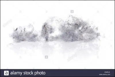 Quel phénomène fait que la poussière s'amoncelle en moutons ?