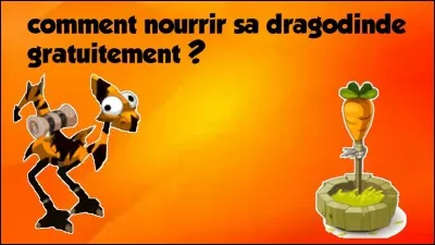 Comment s'appelle cet animal de compagnie ?