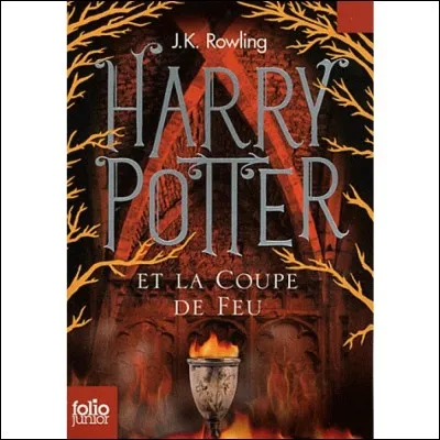 Dans quel tome se déroule le tournoi des trois sorciers ?