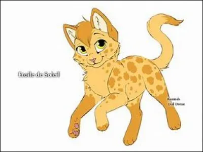 Le chef avant Étoile de Soleil était Étoile de Sapin.