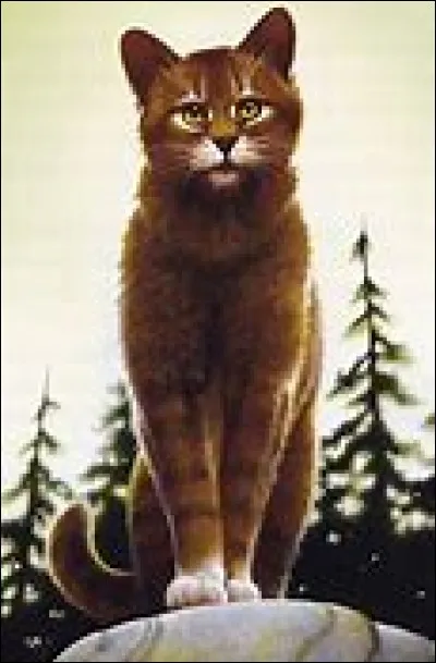 À quel clan appartient Étoile rouge ?