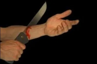 Si l'hybridation génétique entre espèces était possible, quel animal, insecte, permettrait de se régénérer et de se dupliquer en conservant sa mémoire ?