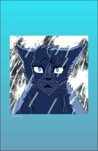 Ton cycle préféré est...