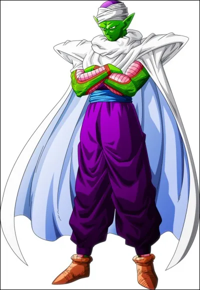 De quelle race est Piccolo ?