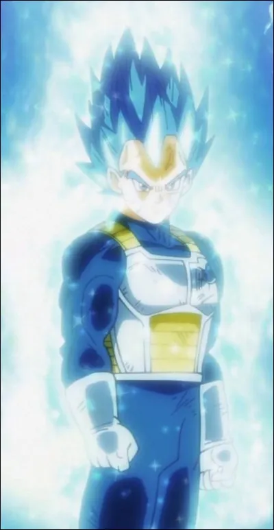 Quelle est la forme complète de Vegeta en SSJ Blue ?