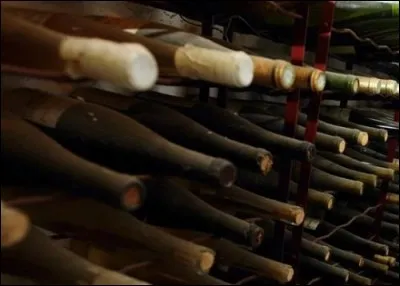 Qu'est-ce que le botrytis cinerea, quand on parle de vins botrytisés.