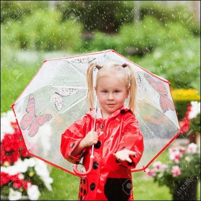 Quelle actrice jouait dans "Les Parapluies de Cherbourg" ?