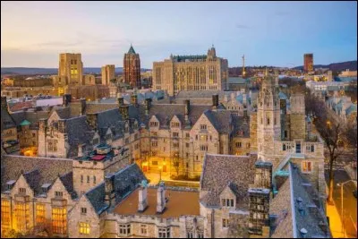 On retrace jusqu'en 1640, les racines de cette université du Connecticut quand les membres du clergé colonial tentèrent d'établir un collège pour essayer de préserver la tradition européenne d'éducation libérale. 
Du côté architectural, le campus est un mélange de style gothique collégial et géorgien.