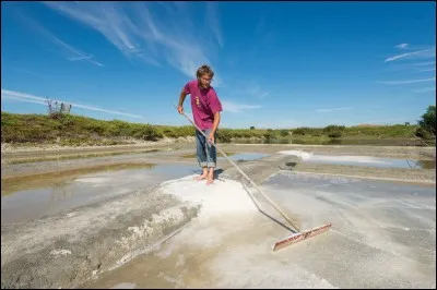 "Édith" fut l'épouse de...