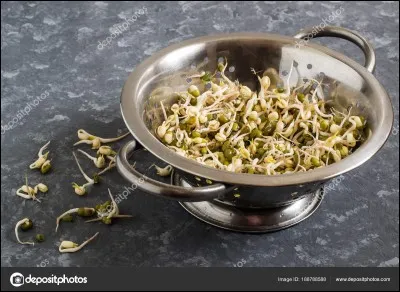 En cuisine, une écaflote est...