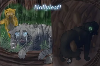 Que va faire Feuille de Houx ensuite ?