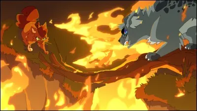 Que découvre Feuille de Houx alors qu'un incendie ravage le camp ?