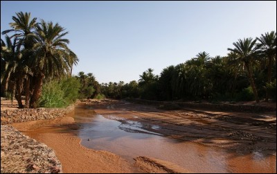 Quel est le plus grand fleuve d'Algérie ?