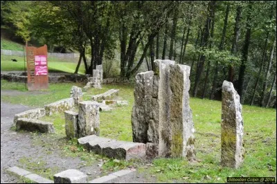 À Chalucet il y a des animaux.