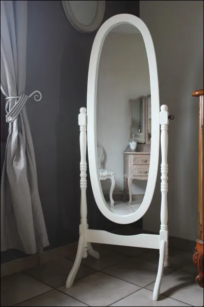 Quel est le nom de ce miroir ?