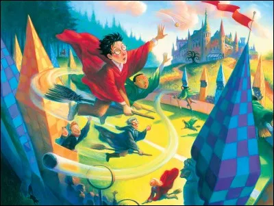 L'équipe adverse de quidditch a gagné le match. Quelle est votre réaction ?
