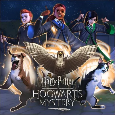 Quel est le premier animagus que Harry a rencontré ?