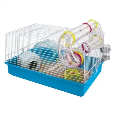 À Noël, dans le tome 3, Esther adopte quel animal ?